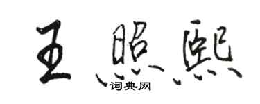 駱恆光王照熙行書個性簽名怎么寫