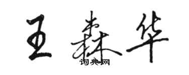 駱恆光王森華行書個性簽名怎么寫