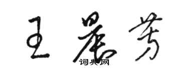 駱恆光王晨芳草書個性簽名怎么寫