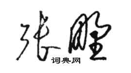 駱恆光張野草書個性簽名怎么寫