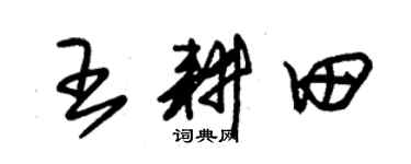 朱錫榮王耕田草書個性簽名怎么寫