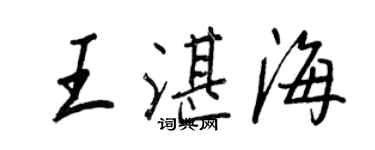 王正良王湛海行書個性簽名怎么寫