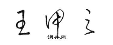 駱恆光王甲之草書個性簽名怎么寫