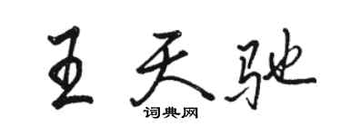 駱恆光王天馳行書個性簽名怎么寫