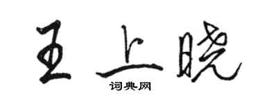 駱恆光王上曉行書個性簽名怎么寫