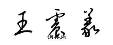 梁錦英王震義草書個性簽名怎么寫