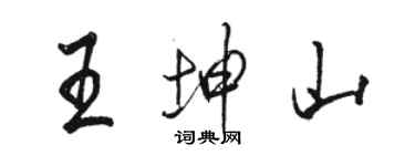 駱恆光王坤山行書個性簽名怎么寫