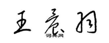 梁錦英王晨羽草書個性簽名怎么寫