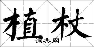 翁闓運植杖楷書怎么寫