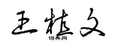 曾慶福王植文草書個性簽名怎么寫