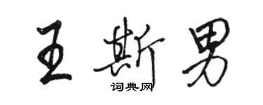 駱恆光王斯男行書個性簽名怎么寫