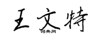王正良王文特行書個性簽名怎么寫