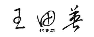 駱恆光王田英草書個性簽名怎么寫