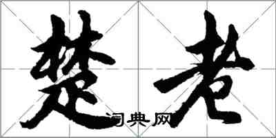 胡問遂楚老行書怎么寫