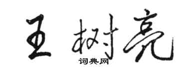 駱恆光王樹亮行書個性簽名怎么寫