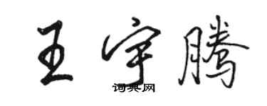 駱恆光王宇騰行書個性簽名怎么寫