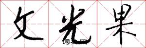 文光果怎么寫好看