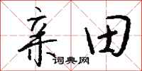 錢沛雲親田行書怎么寫