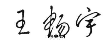 駱恆光王暢宇草書個性簽名怎么寫