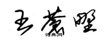 朱錫榮王蒼野草書個性簽名怎么寫