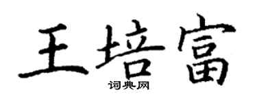 丁謙王培富楷書個性簽名怎么寫