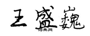 曾慶福王盛巍行書個性簽名怎么寫