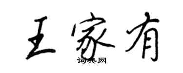 王正良王家有行書個性簽名怎么寫