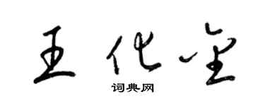 梁錦英王化金草書個性簽名怎么寫