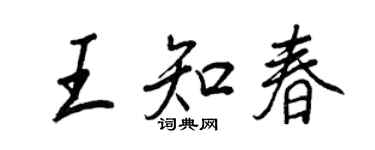 王正良王知春行書個性簽名怎么寫