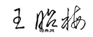 駱恆光王昭梅草書個性簽名怎么寫