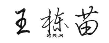 駱恆光王棟苗行書個性簽名怎么寫