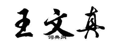 胡問遂王文真行書個性簽名怎么寫