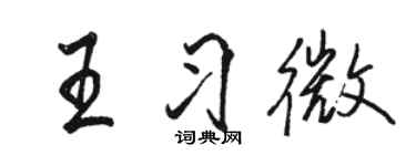 駱恆光王習微行書個性簽名怎么寫