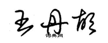 朱錫榮王丹胡草書個性簽名怎么寫