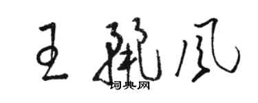 駱恆光王麗風草書個性簽名怎么寫