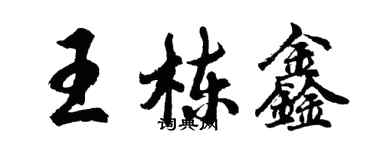 胡問遂王棟鑫行書個性簽名怎么寫