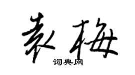 王正良袁梅行書個性簽名怎么寫