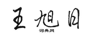 駱恆光王旭日行書個性簽名怎么寫