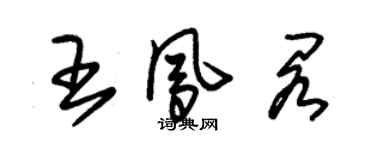 朱錫榮王鳳閣草書個性簽名怎么寫