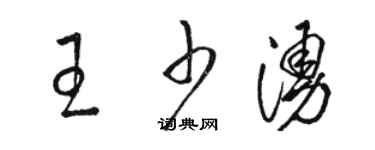 駱恆光王少涌草書個性簽名怎么寫