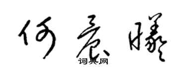 梁錦英何晨曦草書個性簽名怎么寫