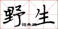 周炳元野生楷書怎么寫