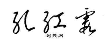 梁錦英孔紅霞草書個性簽名怎么寫