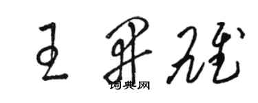 駱恆光王開雄草書個性簽名怎么寫