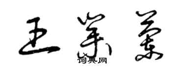 曾慶福王業蘭草書個性簽名怎么寫