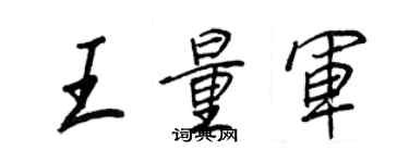 王正良王量軍行書個性簽名怎么寫