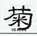 范連陞寫的硬筆隸書菊