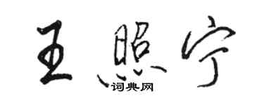 駱恆光王照寧行書個性簽名怎么寫