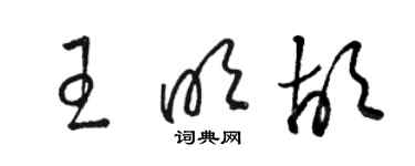 駱恆光王明胡草書個性簽名怎么寫