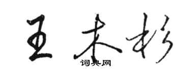 駱恆光王木杉行書個性簽名怎么寫